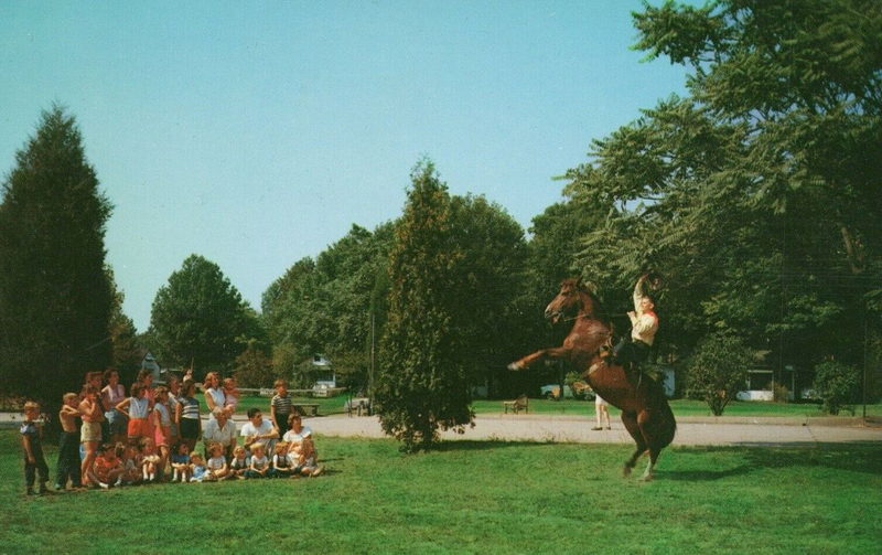 Pennellwood Resort - Vintage Postcard